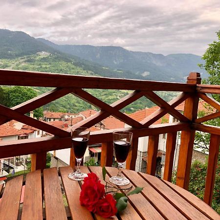 Apostolos Hotel Metsovo Extérieur photo