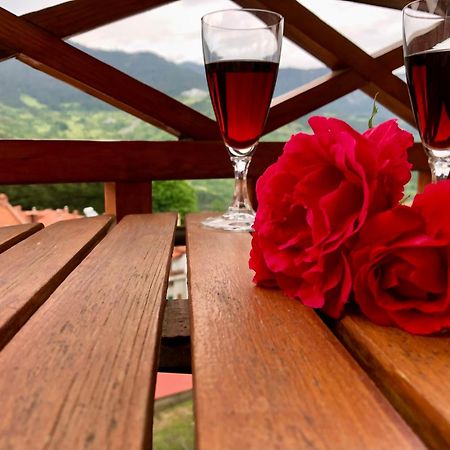 Apostolos Hotel Metsovo Extérieur photo