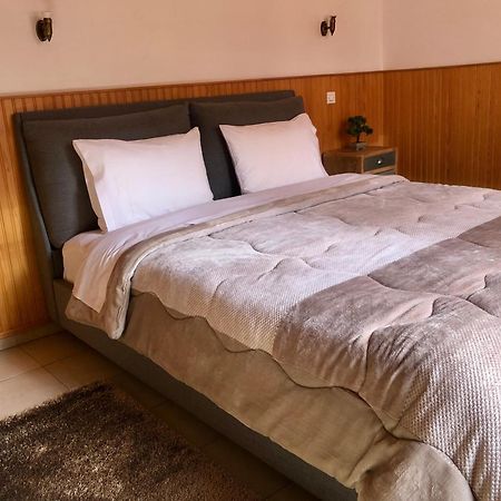 Apostolos Hotel Metsovo Extérieur photo