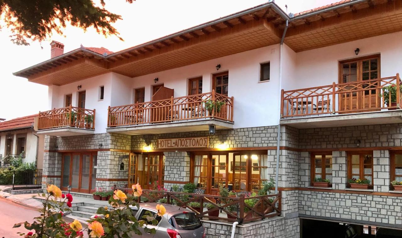 Apostolos Hotel Metsovo Extérieur photo
