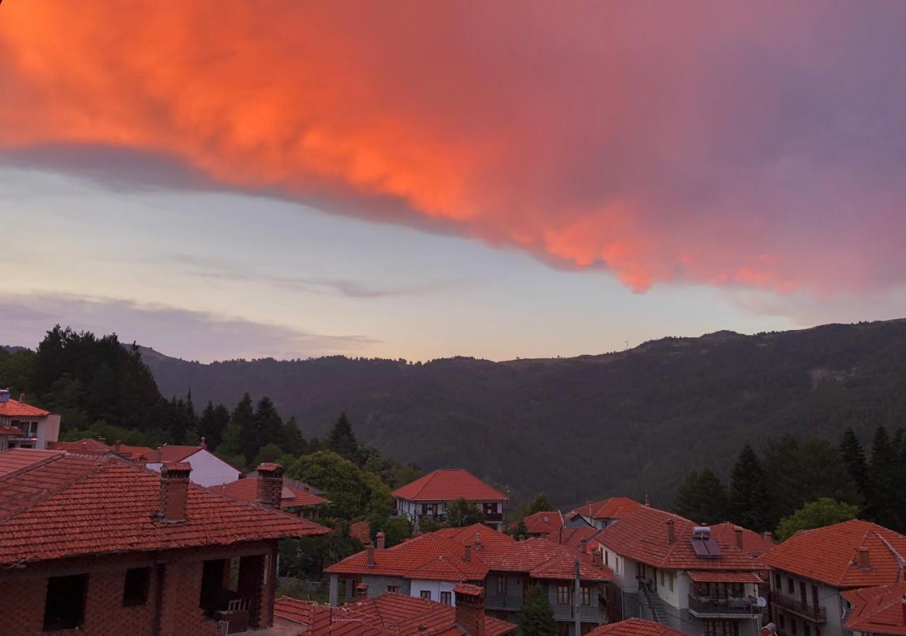 Apostolos Hotel Metsovo Extérieur photo