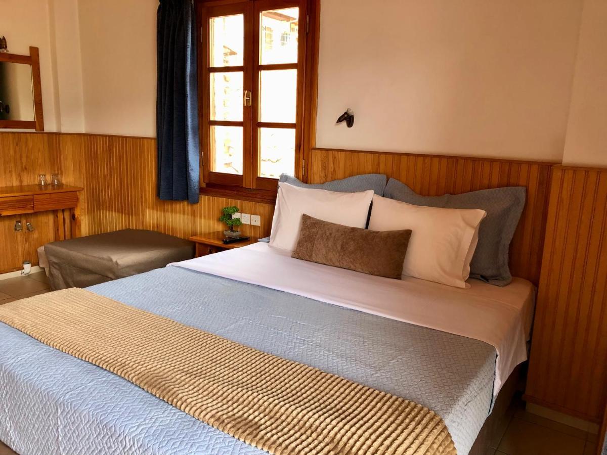 Apostolos Hotel Metsovo Extérieur photo