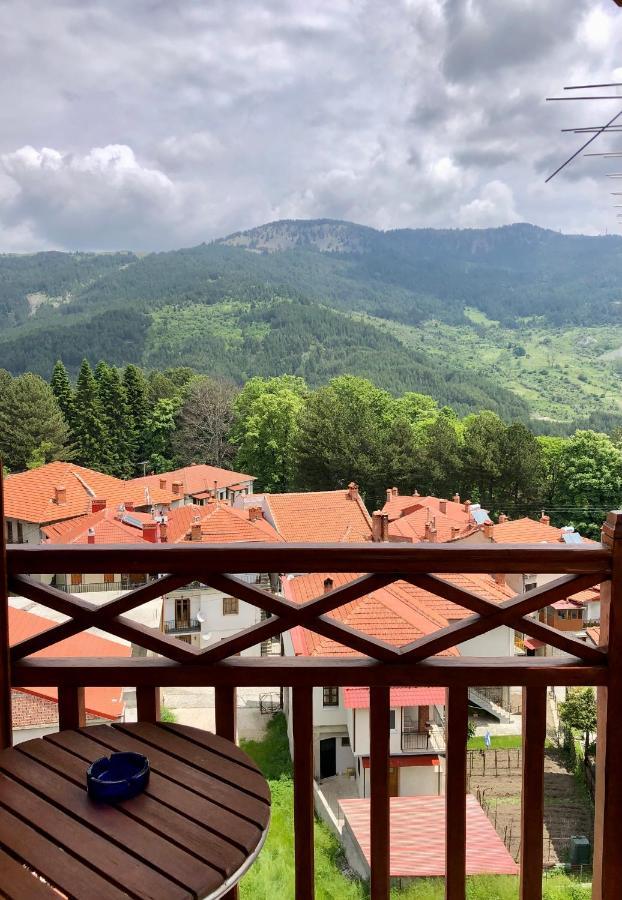Apostolos Hotel Metsovo Extérieur photo