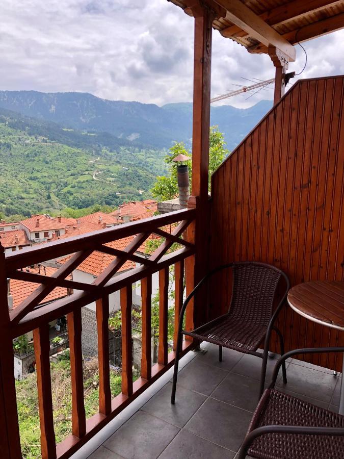 Apostolos Hotel Metsovo Extérieur photo