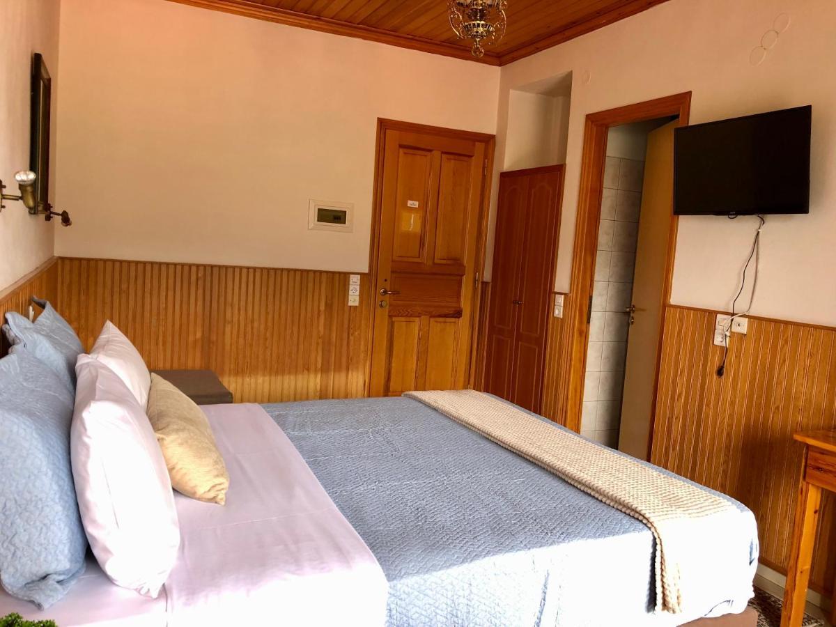 Apostolos Hotel Metsovo Extérieur photo