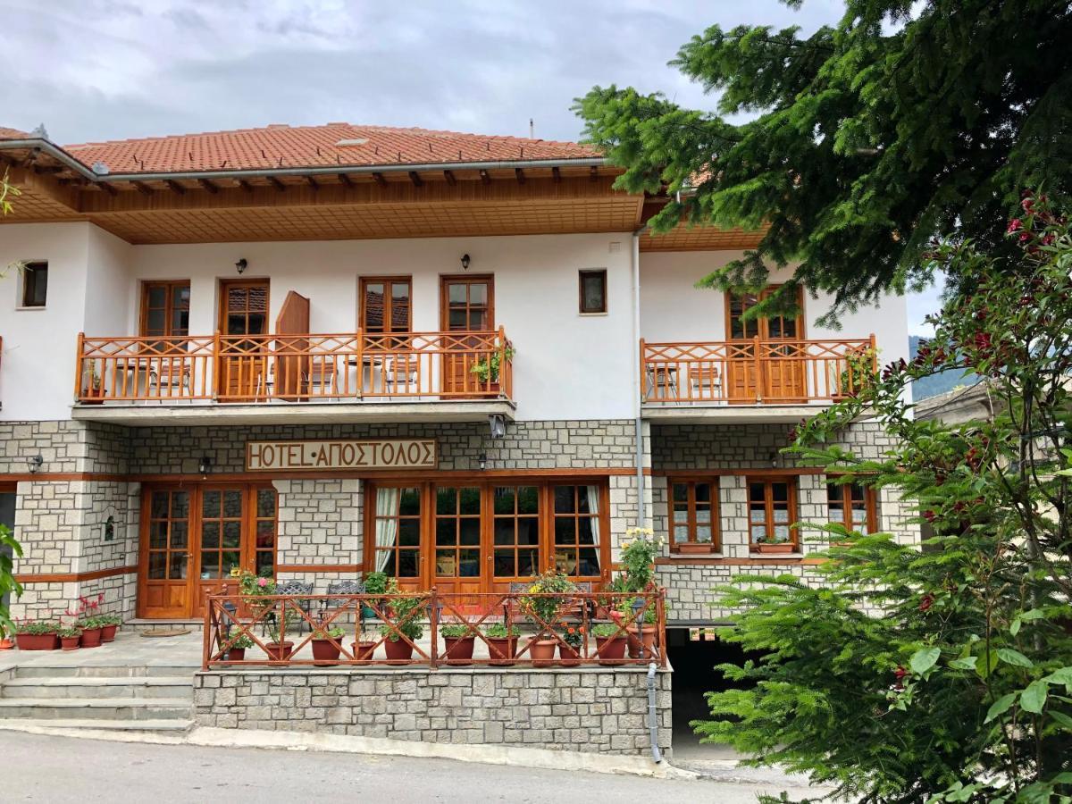 Apostolos Hotel Metsovo Extérieur photo