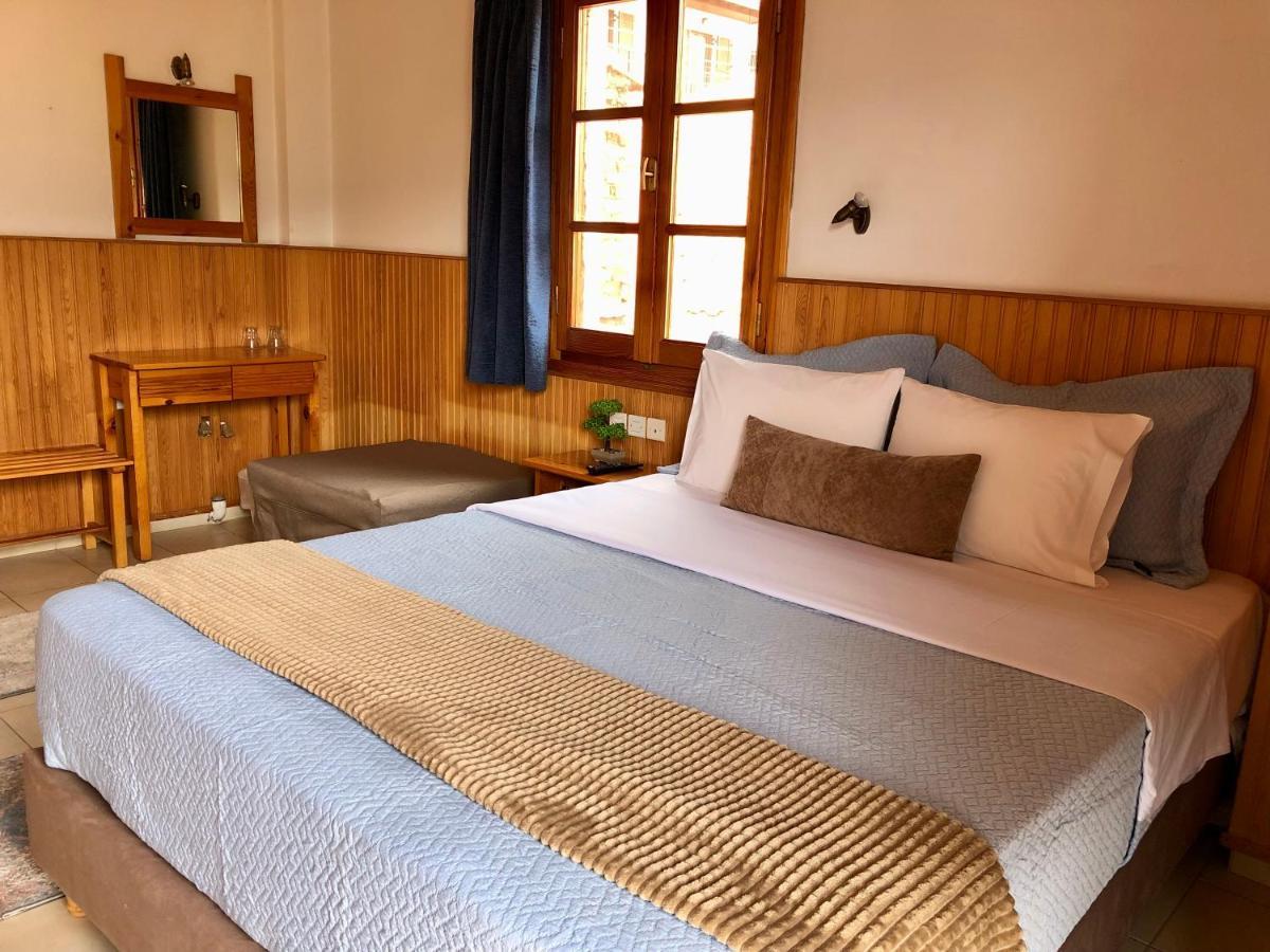 Apostolos Hotel Metsovo Extérieur photo