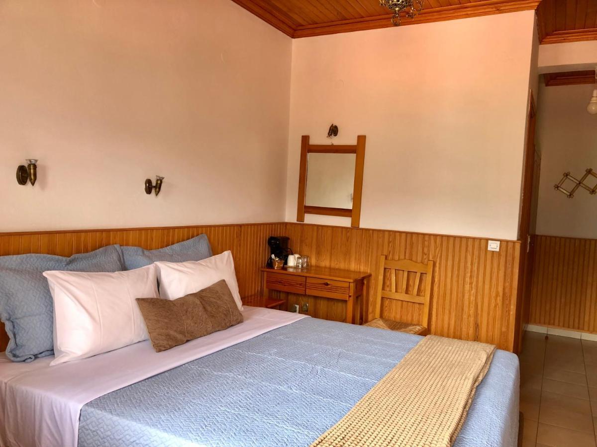 Apostolos Hotel Metsovo Extérieur photo