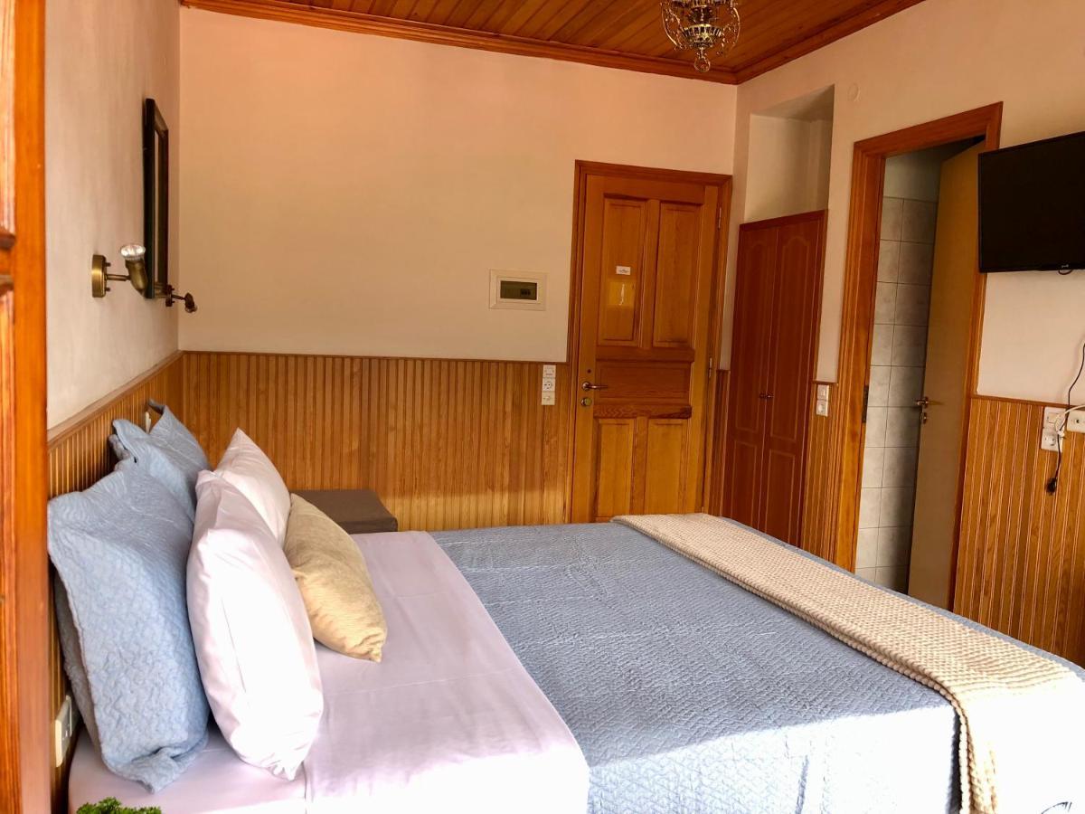 Apostolos Hotel Metsovo Extérieur photo