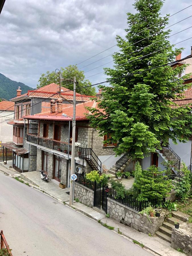 Apostolos Hotel Metsovo Extérieur photo