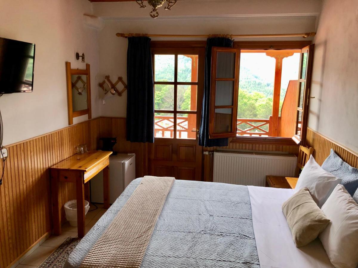 Apostolos Hotel Metsovo Extérieur photo