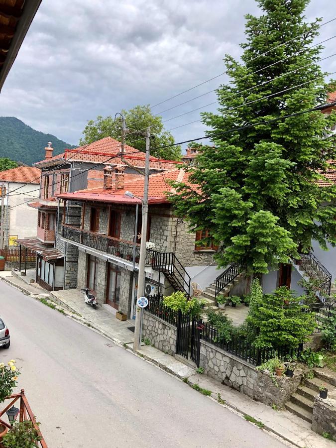 Apostolos Hotel Metsovo Extérieur photo
