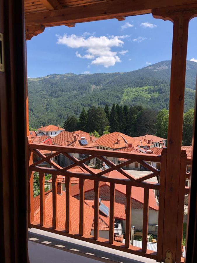 Apostolos Hotel Metsovo Extérieur photo