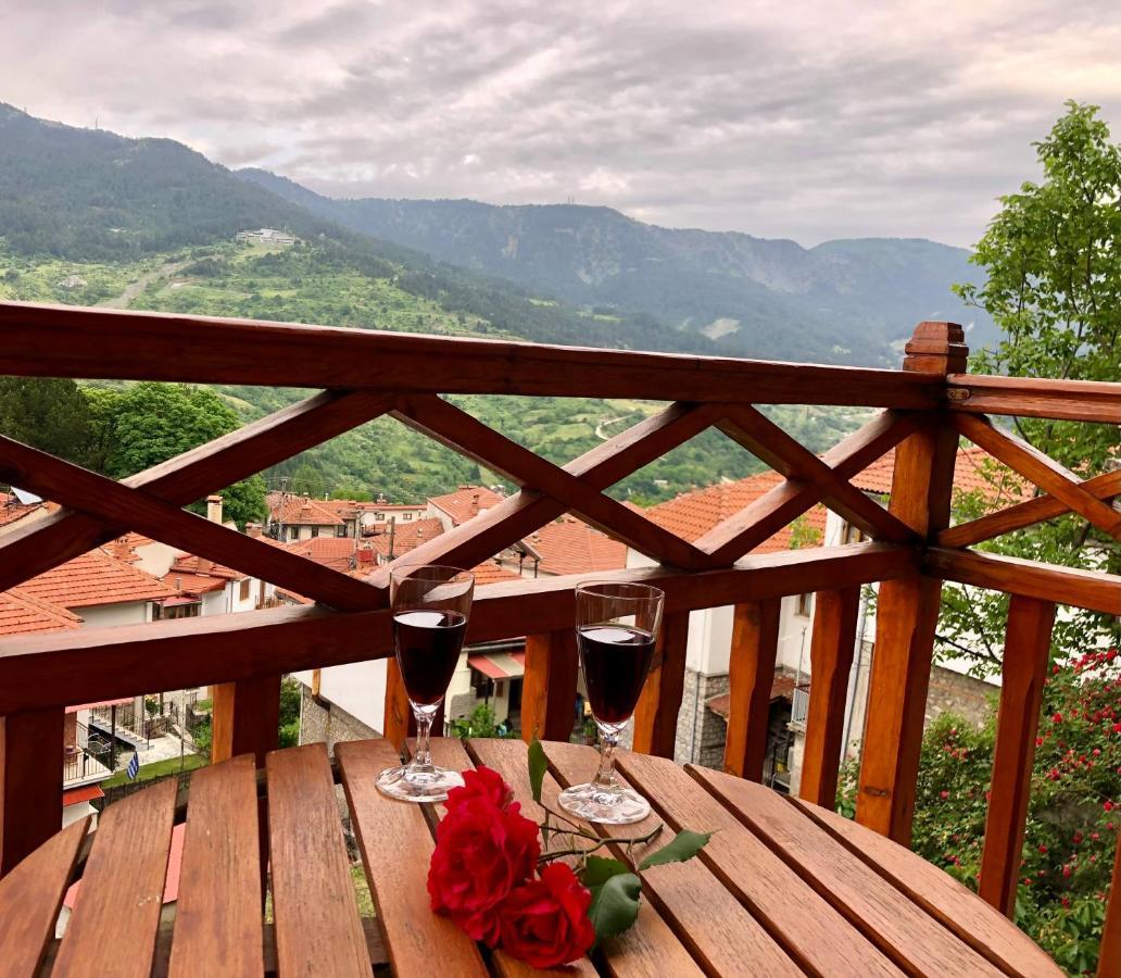 Apostolos Hotel Metsovo Extérieur photo