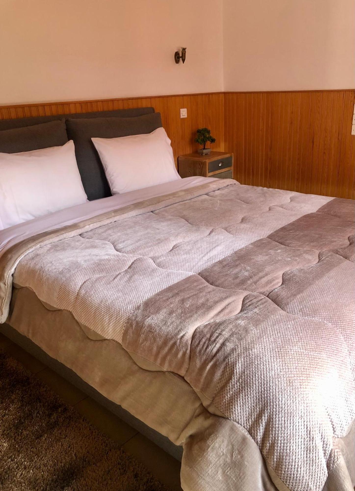 Apostolos Hotel Metsovo Extérieur photo