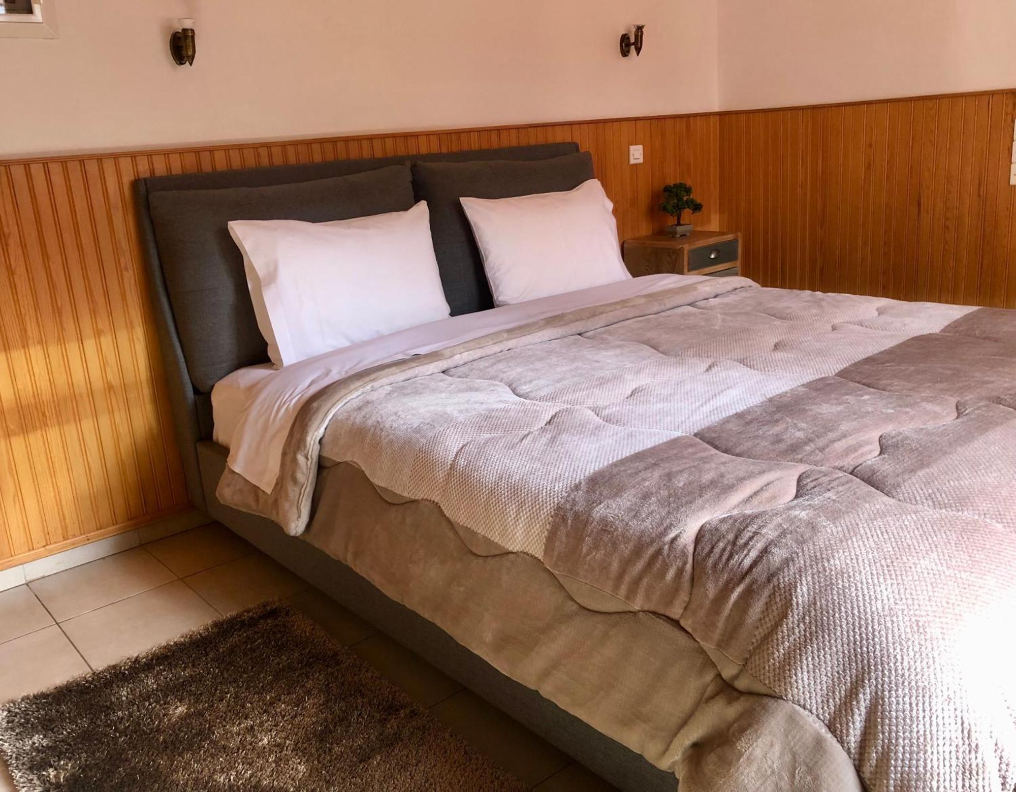 Apostolos Hotel Metsovo Extérieur photo